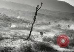 Standbild amerikanische Infanterie Pacific Theater, 1943, aus Sekunde 37 historischem Filmmaterial Videoclip 65675058464