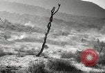 Standbild amerikanische Infanterie Pacific Theater, 1943, aus Sekunde 38 historischem Filmmaterial Videoclip 65675058464
