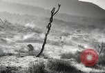 Standbild amerikanische Infanterie Pacific Theater, 1943, aus Sekunde 39 historischem Filmmaterial Videoclip 65675058464