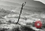 Standbild amerikanische Infanterie Pacific Theater, 1943, aus Sekunde 40 historischem Filmmaterial Videoclip 65675058464