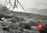 Standbild amerikanische Infanterie Pacific Theater, 1943, aus Sekunde 45 historischem Filmmaterial Videoclip 65675058464