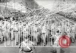 Standbild König Georg VI Afrika, 1943, aus Sekunde 7 historischem Filmmaterial Videoclip 65675058478