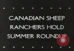 Standbild Herde von Schafen Alberta Kanada, 1943, aus Sekunde 1 historischem Filmmaterial Videoclip 65675058480