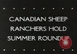 Standbild Herde von Schafen Alberta Kanada, 1943, aus Sekunde 3 historischem Filmmaterial Videoclip 65675058480