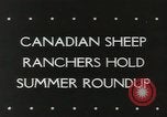 Standbild Herde von Schafen Alberta Kanada, 1943, aus Sekunde 5 historischem Filmmaterial Videoclip 65675058480