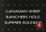 Standbild Herde von Schafen Alberta Kanada, 1943, aus Sekunde 6 historischem Filmmaterial Videoclip 65675058480