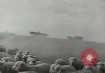 Standbild Herde von Schafen Alberta Kanada, 1943, aus Sekunde 40 historischem Filmmaterial Videoclip 65675058480