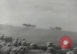 Standbild Herde von Schafen Alberta Kanada, 1943, aus Sekunde 41 historischem Filmmaterial Videoclip 65675058480