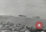Standbild Herde von Schafen Alberta Kanada, 1943, aus Sekunde 44 historischem Filmmaterial Videoclip 65675058480