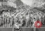 Standbild Zweiten Weltkrieg europäische Theater, 1944, aus Sekunde 9 historischem Filmmaterial Videoclip 65675058482