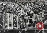 Standbild Zweiten Weltkrieg europäische Theater, 1944, aus Sekunde 14 historischem Filmmaterial Videoclip 65675058482