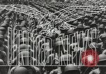 Standbild Zweiten Weltkrieg europäische Theater, 1944, aus Sekunde 15 historischem Filmmaterial Videoclip 65675058482