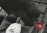 Standbild Zweiten Weltkrieg europäische Theater, 1944, aus Sekunde 49 historischem Filmmaterial Videoclip 65675058482