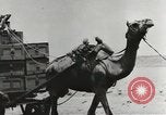 Image of American war supplies India, 1944, second 28 stock footage video 65675058488
