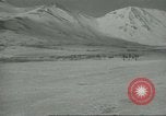 Image of United States P 38 planes Aleutian Islands Alaska USA, 1943, second 19 stock footage video 65675058503