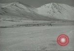 Image of United States P 38 planes Aleutian Islands Alaska USA, 1943, second 28 stock footage video 65675058503