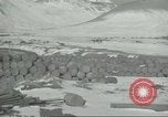 Image of United States P 38 planes Aleutian Islands Alaska USA, 1943, second 48 stock footage video 65675058503