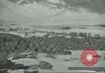 Image of United States P 38 planes Aleutian Islands Alaska USA, 1943, second 61 stock footage video 65675058503