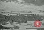 Image of United States P 38 planes Aleutian Islands Alaska USA, 1943, second 62 stock footage video 65675058503