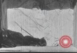 Standbild Mutter Katze und Wurf Kätzchen in einer Box United States USA, 1916, aus Sekunde 10 historischem Filmmaterial Videoclip 65675058507