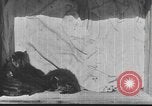 Standbild Mutter Katze und Wurf Kätzchen in einer Box United States USA, 1916, aus Sekunde 12 historischem Filmmaterial Videoclip 65675058507
