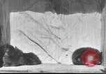 Standbild Mutter Katze und Wurf Kätzchen in einer Box United States USA, 1916, aus Sekunde 33 historischem Filmmaterial Videoclip 65675058507