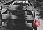 Standbild einen offenen Lkw beladen mit Schweinen Laufwerke auf den Markt in den USA United States USA, 1916, aus Sekunde 37 historischem Filmmaterial Videoclip 65675058510