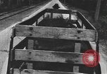 Standbild einen offenen Lkw beladen mit Schweinen Laufwerke auf den Markt in den USA United States USA, 1916, aus Sekunde 38 historischem Filmmaterial Videoclip 65675058510