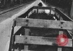 Standbild einen offenen Lkw beladen mit Schweinen Laufwerke auf den Markt in den USA United States USA, 1916, aus Sekunde 39 historischem Filmmaterial Videoclip 65675058510