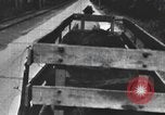 Standbild einen offenen Lkw beladen mit Schweinen Laufwerke auf den Markt in den USA United States USA, 1916, aus Sekunde 40 historischem Filmmaterial Videoclip 65675058510