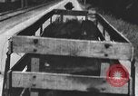 Standbild einen offenen Lkw beladen mit Schweinen Laufwerke auf den Markt in den USA United States USA, 1916, aus Sekunde 44 historischem Filmmaterial Videoclip 65675058510