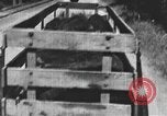 Standbild einen offenen Lkw beladen mit Schweinen Laufwerke auf den Markt in den USA United States USA, 1916, aus Sekunde 46 historischem Filmmaterial Videoclip 65675058510