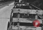Standbild einen offenen Lkw beladen mit Schweinen Laufwerke auf den Markt in den USA United States USA, 1916, aus Sekunde 51 historischem Filmmaterial Videoclip 65675058510