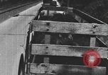 Standbild einen offenen Lkw beladen mit Schweinen Laufwerke auf den Markt in den USA United States USA, 1916, aus Sekunde 52 historischem Filmmaterial Videoclip 65675058510