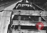 Standbild einen offenen Lkw beladen mit Schweinen Laufwerke auf den Markt in den USA United States USA, 1916, aus Sekunde 54 historischem Filmmaterial Videoclip 65675058510