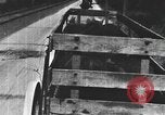 Standbild einen offenen Lkw beladen mit Schweinen Laufwerke auf den Markt in den USA United States USA, 1916, aus Sekunde 55 historischem Filmmaterial Videoclip 65675058510