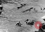 Image of Works Progress Administration project Chicago Illinois USA, 1937, second 21 stock footage video 65675058517