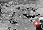 Image of Works Progress Administration project Chicago Illinois USA, 1937, second 27 stock footage video 65675058517