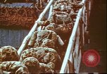 Image of United States 2nd Marine Division Tarawa Gilbert Islands, 1944, second 42 stock footage video 65675058541