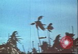 Image of United States 2nd Marine Division Tarawa Gilbert Islands, 1944, second 49 stock footage video 65675058542