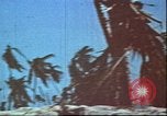 Image of United States 2nd Marine Division Tarawa Gilbert Islands, 1944, second 51 stock footage video 65675058542