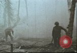 Image États-Unis 2e Division maritime Tarawa Îles Gilbert, 1944, de la seconde 20 séquences d'archives historiques vidéo 65675058543