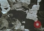 Image États-Unis 2e Division maritime Tarawa Îles Gilbert, 1944, de la seconde 41 séquences d'archives historiques vidéo 65675058543