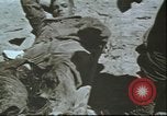 Image États-Unis 2e Division maritime Tarawa Îles Gilbert, 1944, de la seconde 43 séquences d'archives historiques vidéo 65675058543