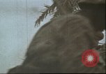 Image États-Unis 2e Division maritime Tarawa Îles Gilbert, 1944, de la seconde 54 séquences d'archives historiques vidéo 65675058543