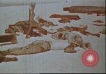 Image of United States 2nd Marine Division casualties at Tarawa Tarawa Gilbert Islands, 1944, second 8 stock footage video 65675058545