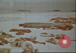 Image of United States 2nd Marine Division casualties at Tarawa Tarawa Gilbert Islands, 1944, second 13 stock footage video 65675058545
