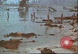 Image of United States 2nd Marine Division casualties at Tarawa Tarawa Gilbert Islands, 1944, second 16 stock footage video 65675058545