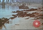 Image of United States 2nd Marine Division casualties at Tarawa Tarawa Gilbert Islands, 1944, second 18 stock footage video 65675058545