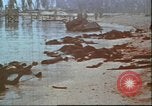 Image of United States 2nd Marine Division casualties at Tarawa Tarawa Gilbert Islands, 1944, second 20 stock footage video 65675058545